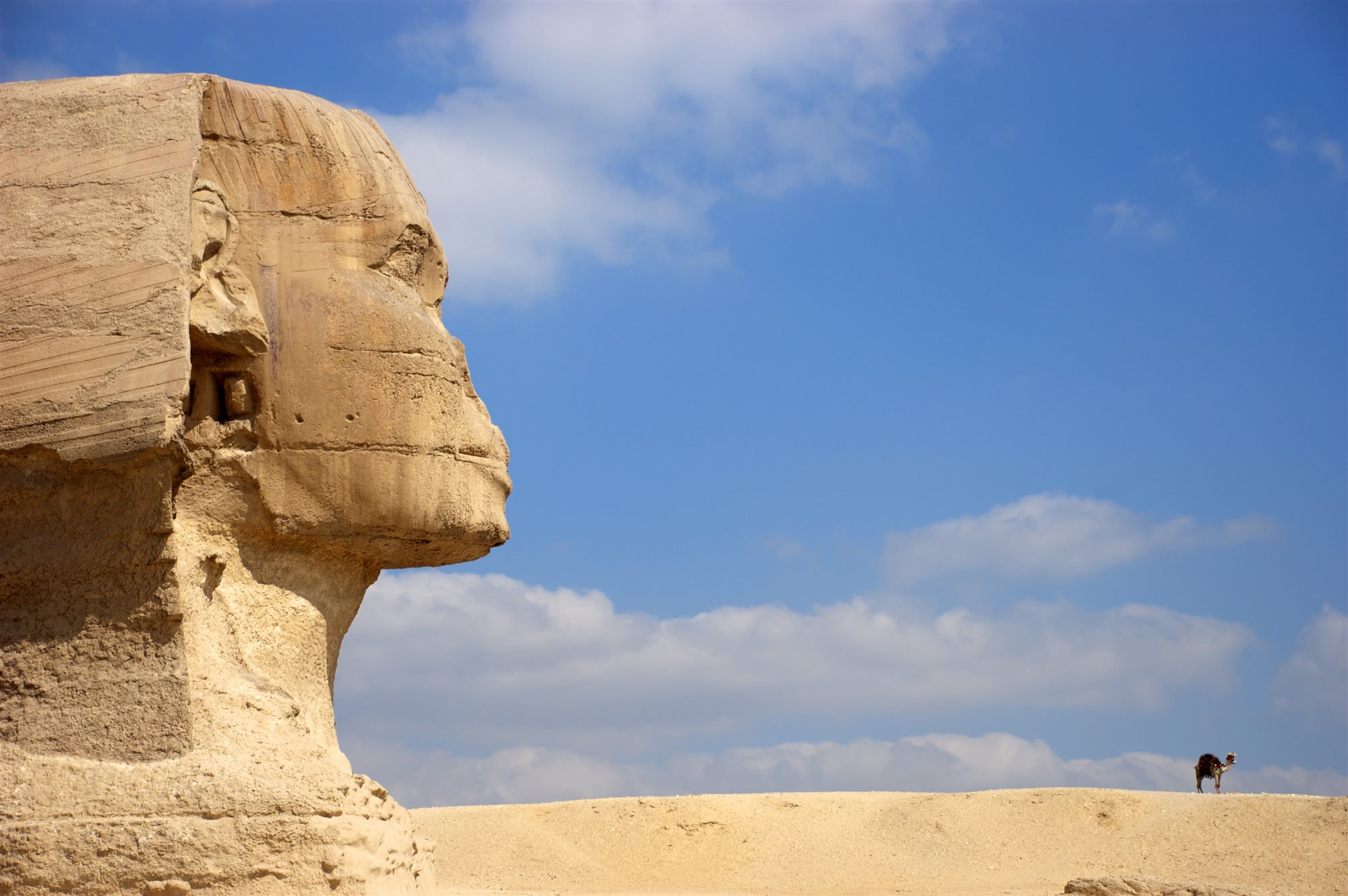 Sphinx and pyramid at Giza, Egypt
